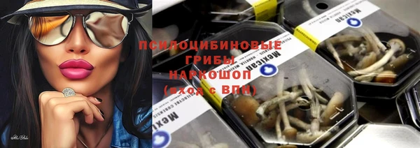 дживик Беломорск