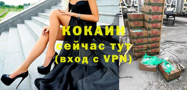 дживик Белоозёрский