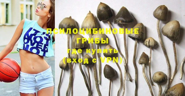 дживик Белоозёрский