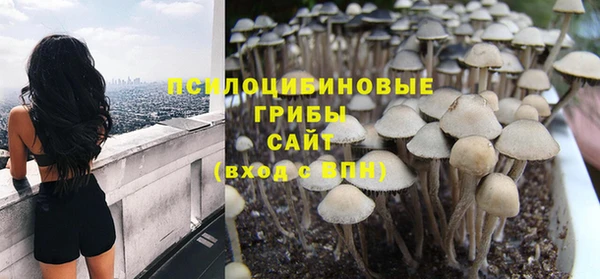 дживик Беломорск