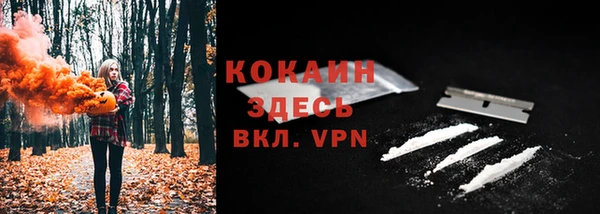 твердый Белокуриха