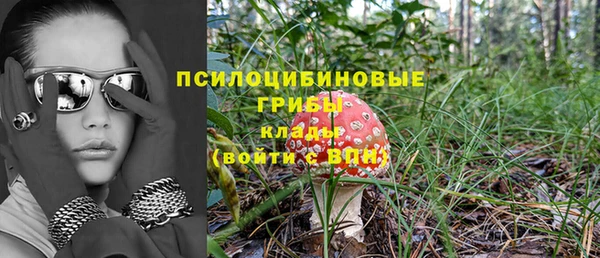 дживик Белоозёрский