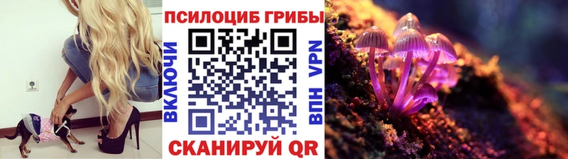 это клад  Волосово  Галлюциногенные грибы Magic Shrooms  наркотики  МЕГА  